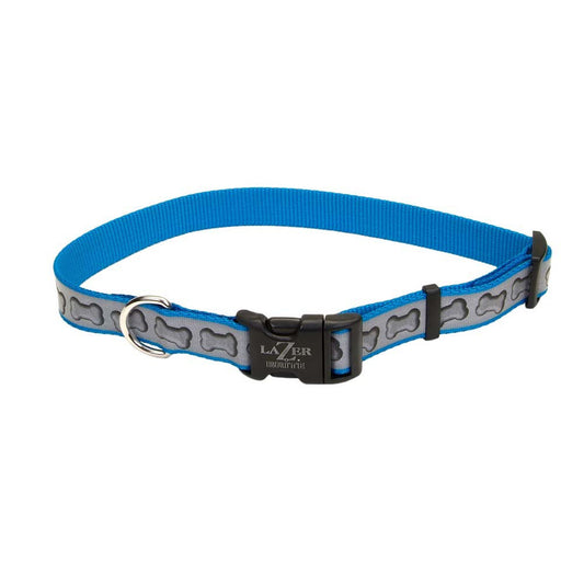 Lazer Brite Reflective Adjustable Dog Collar Turquoise 1ea/3/8 In X 8-12 in