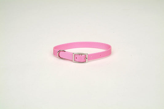 Coastal Single-Ply Nylon Collar Bright Pink 3/4X16In