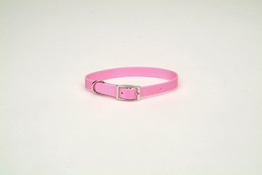 Coastal Single-Ply Nylon Dog Collar Pink Bright 1ea/3/4 In X 18 in