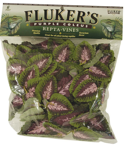 Fluker's Purple Coleus Repta-Vines Green, Purple 1ea/6 ft