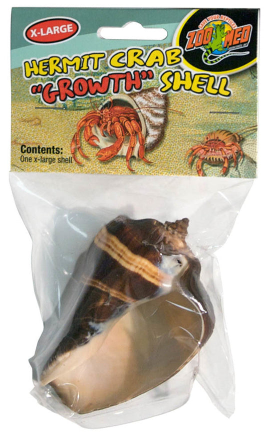 Zoo Med Hermit Crab Growth Shell Assorted 1ea/XL, 1 pk