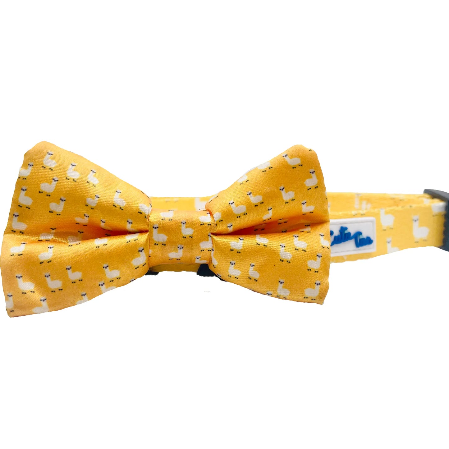 Cutie Ties Dog Bow Tie