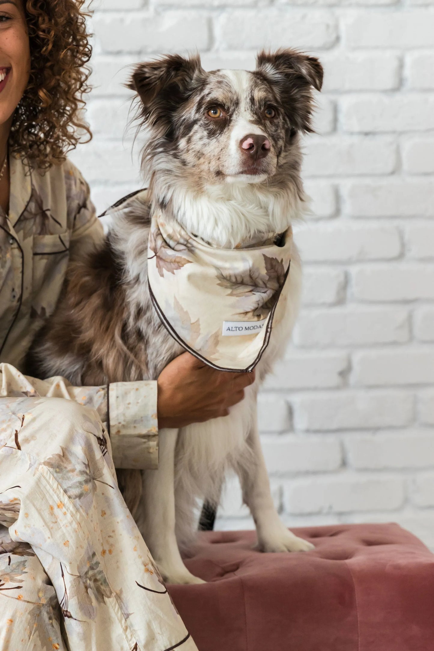 Buddy Dog Bandana