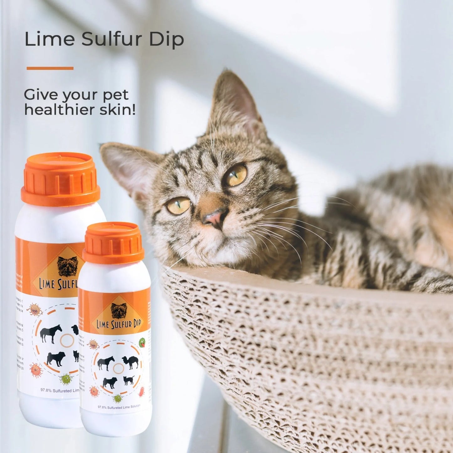 Lime Sulfur Dip - Pet and Veterinary Solution for Dermatitis, Mange, Ringworm and other Parasites