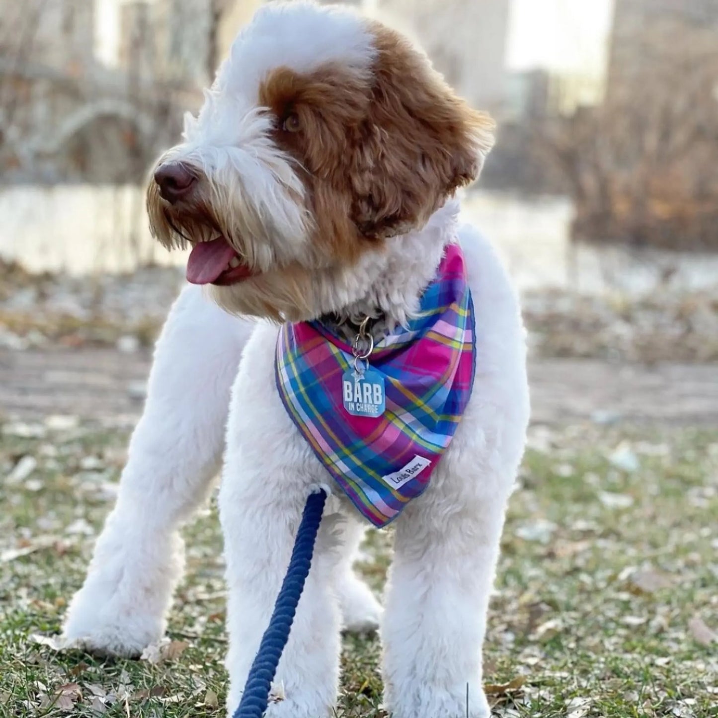 Colorful Plaid Bandana