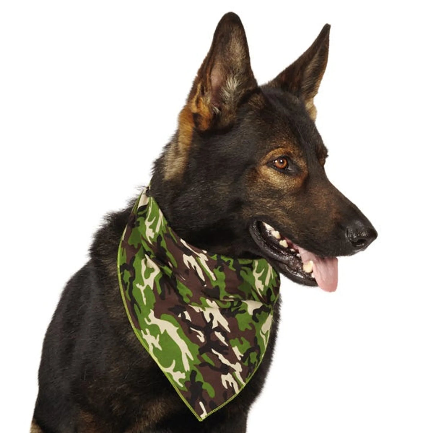 AR Camo Bandana Pnk