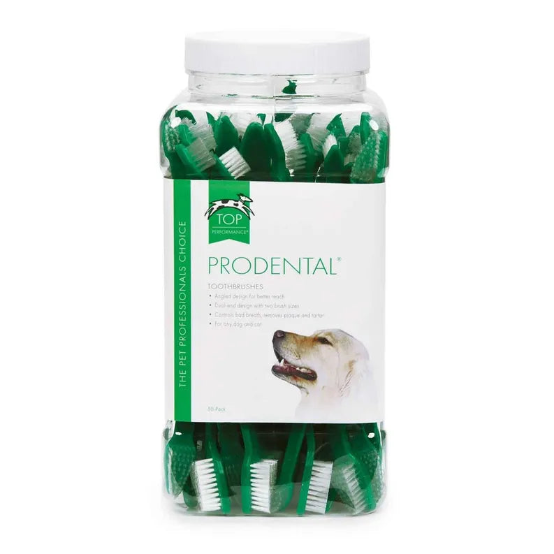 TP ProDental Dual End Brush 50Pk