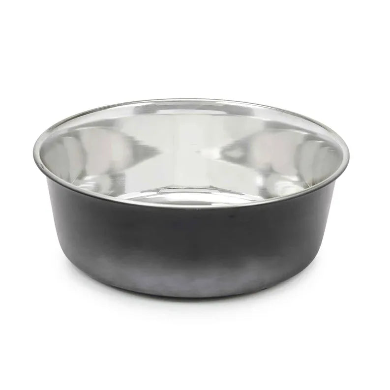 PS Stainless Steel Ombre Bowl Large