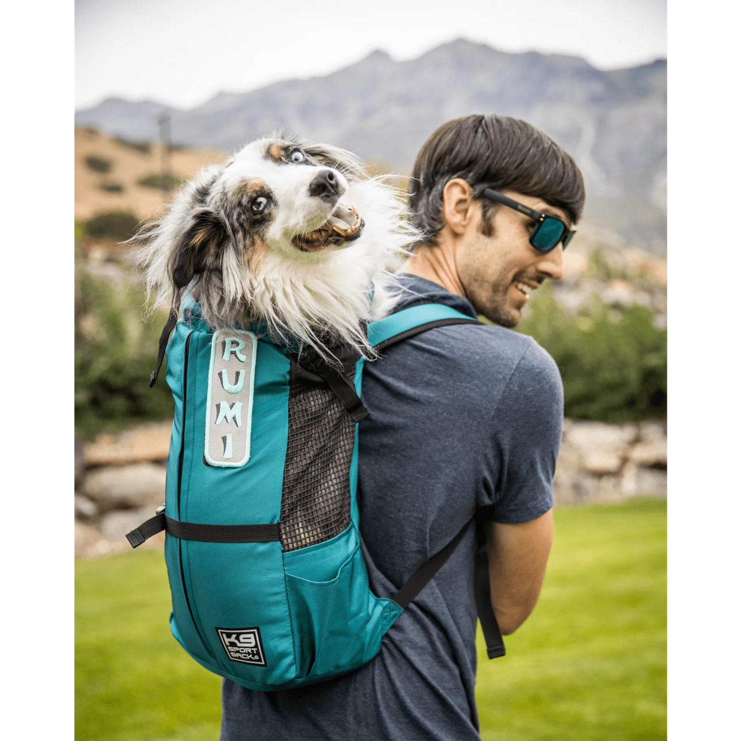 K9 Sport Sack Trainer