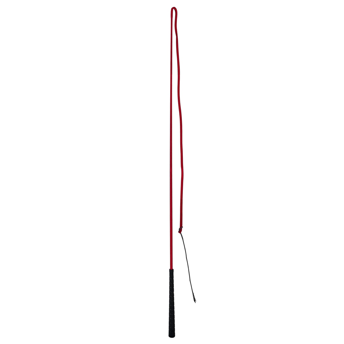 Gatsby Lunge Whip w/48" drop