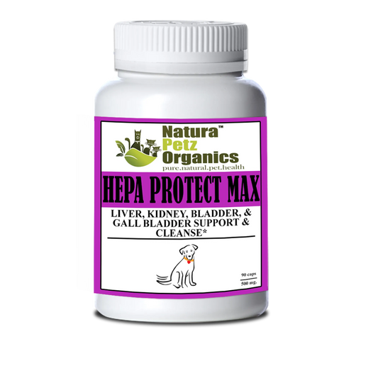 Hepa Protect Max Capsules - Liver, Kidney, Bladder & Gall Bladder Support & Cleanse*