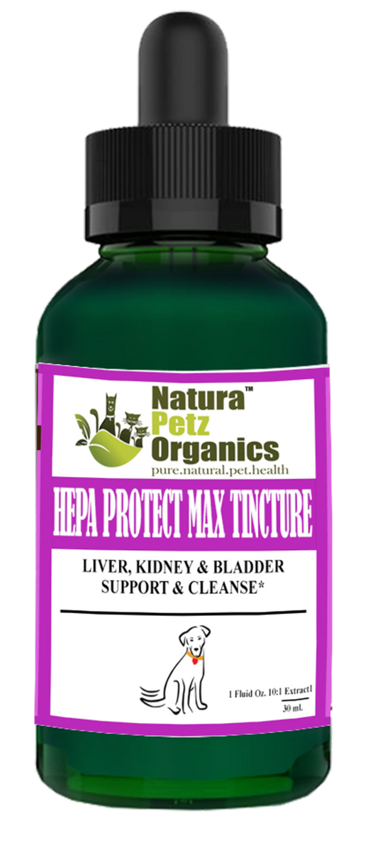 Hepa Protect Max Tincture* Master Blend Liver Kidney & Bladder Support & Cleanse 10:1 Extract*