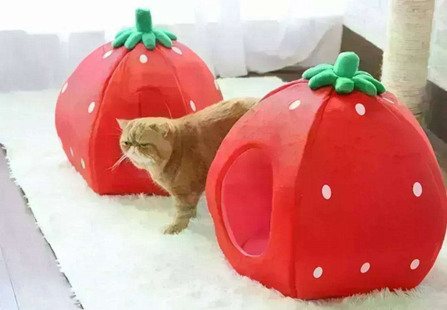 YML Strawberry Pet Bed House