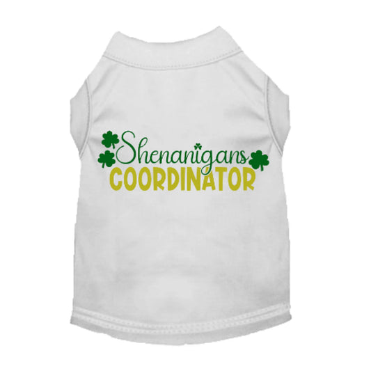 Shenanigans Coordinator