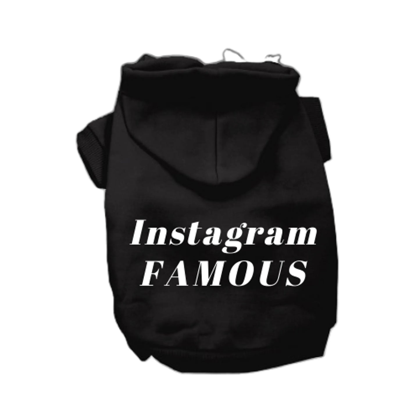 IG Famous Hoodie