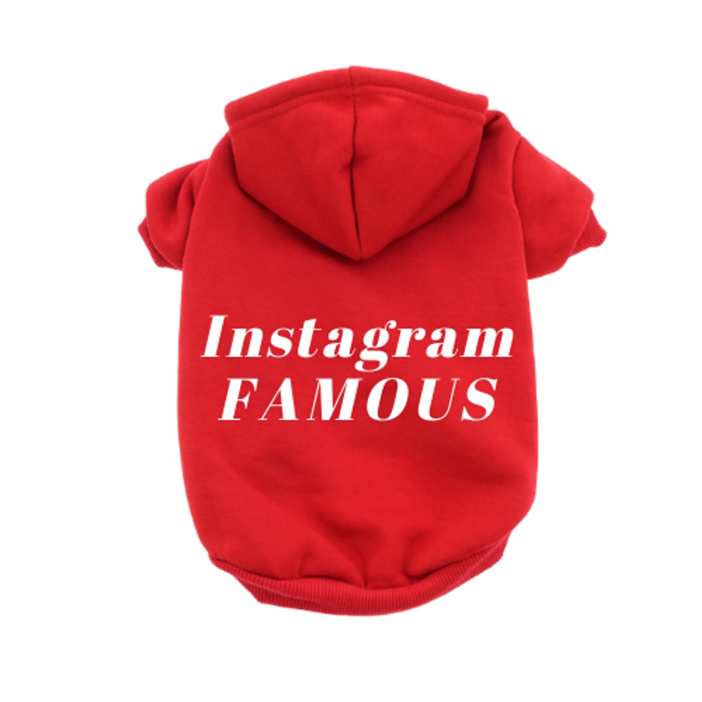 IG Famous Hoodie