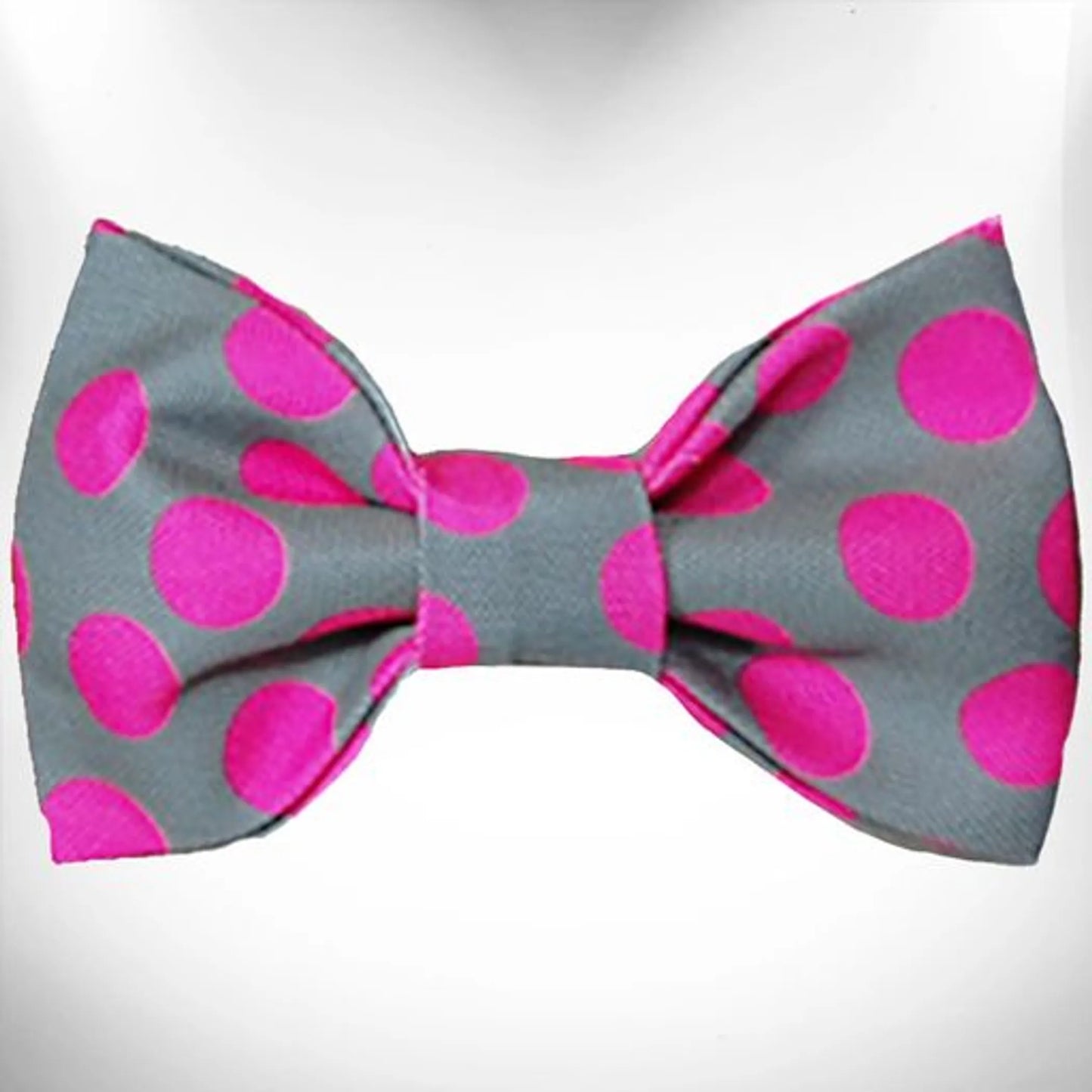 Polka Dot Dog - Neon Bow Tie