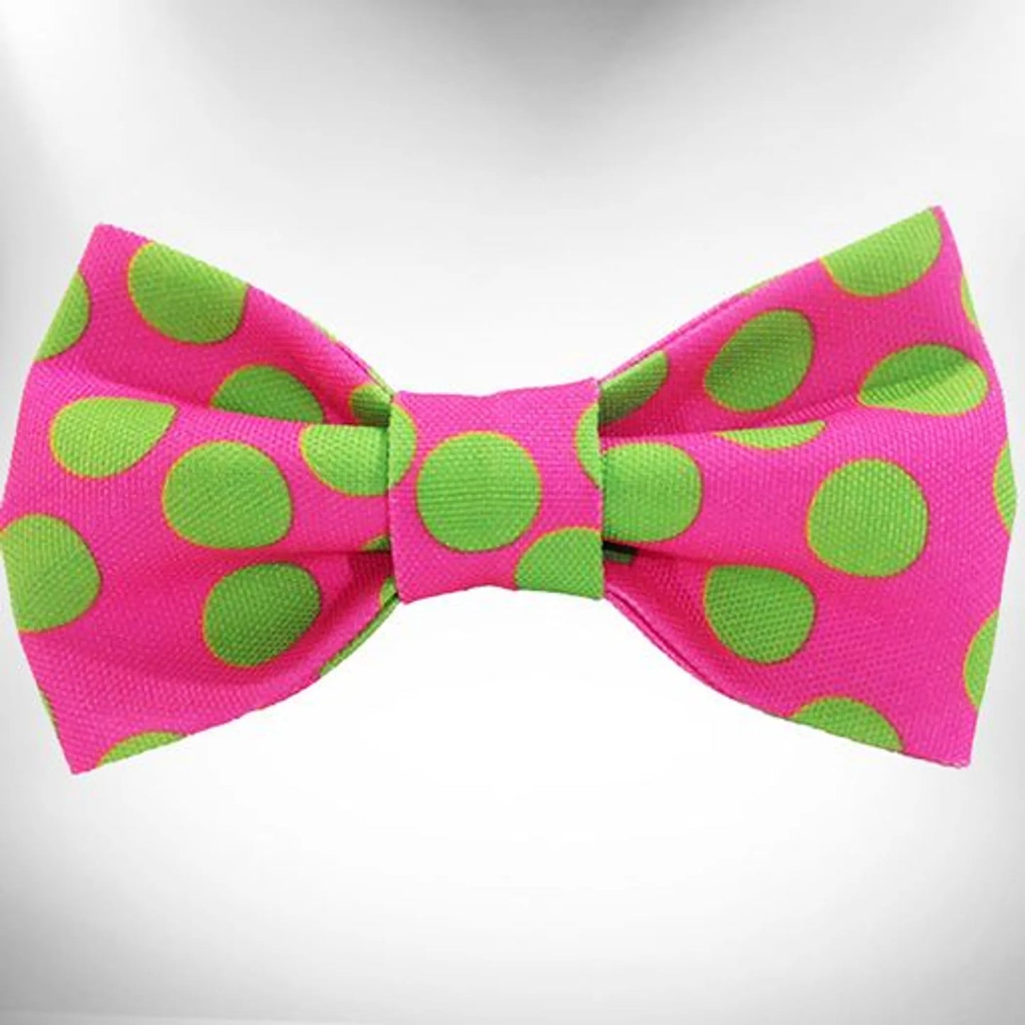 Polka Dot Dog - Neon Bow Tie