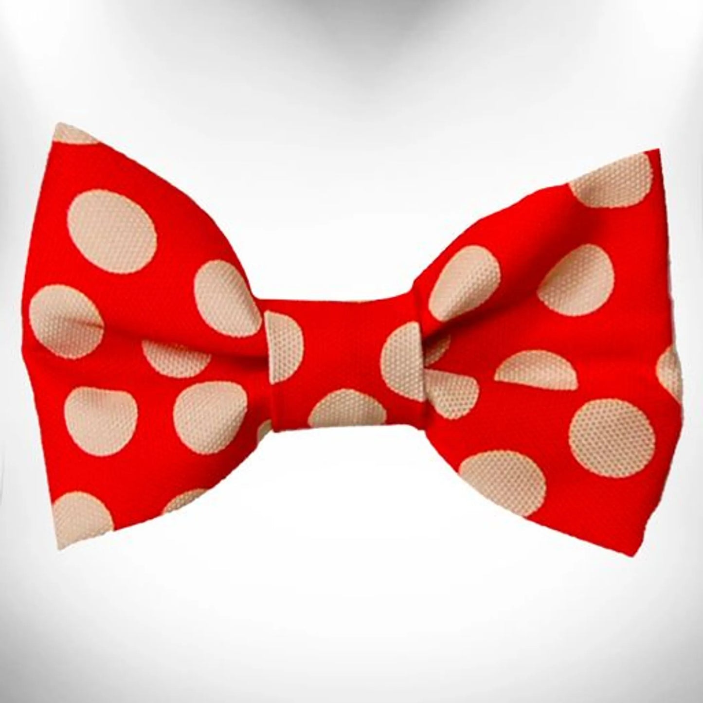 Polka Dot Dog - Tan Dots Bow Tie