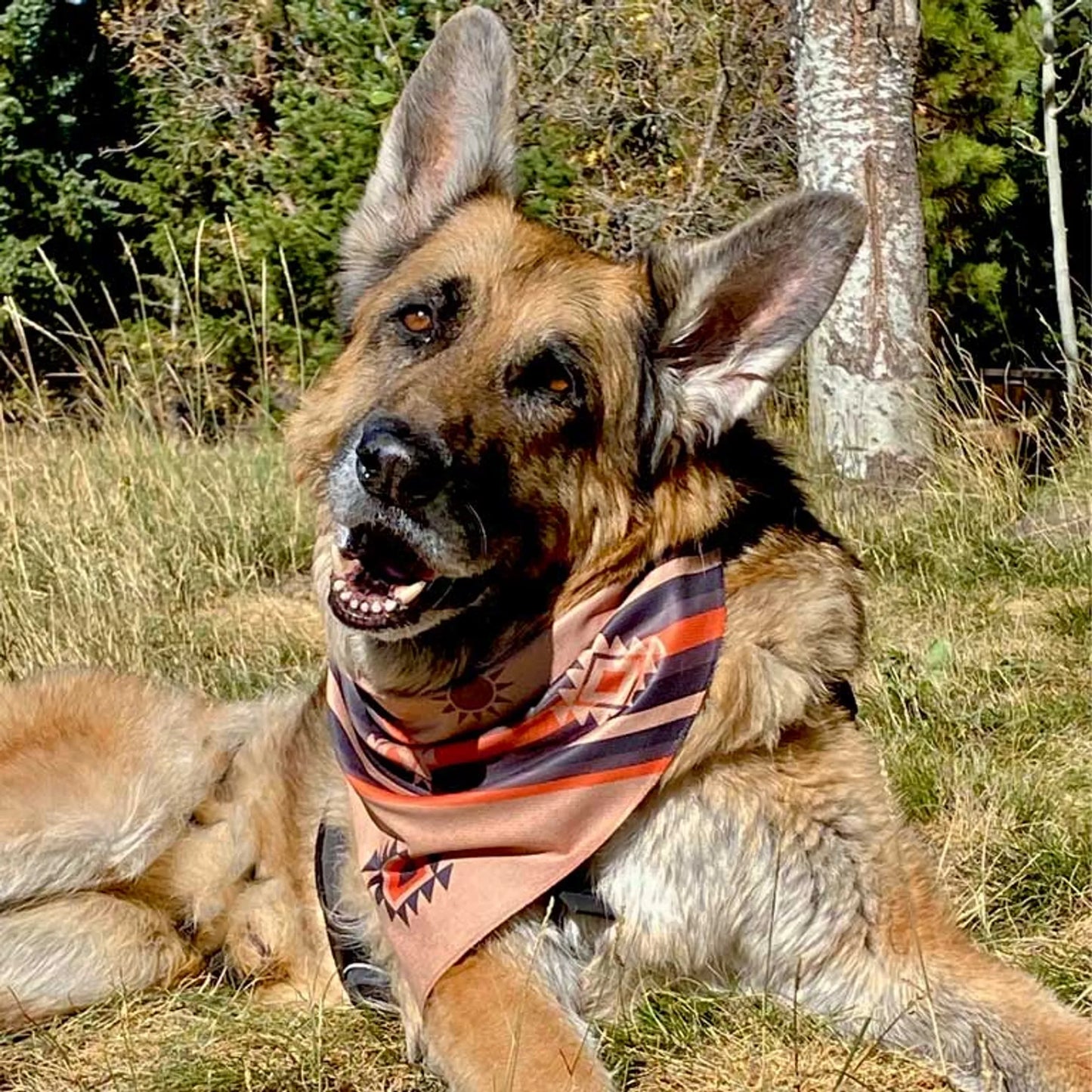 Dog Bandana