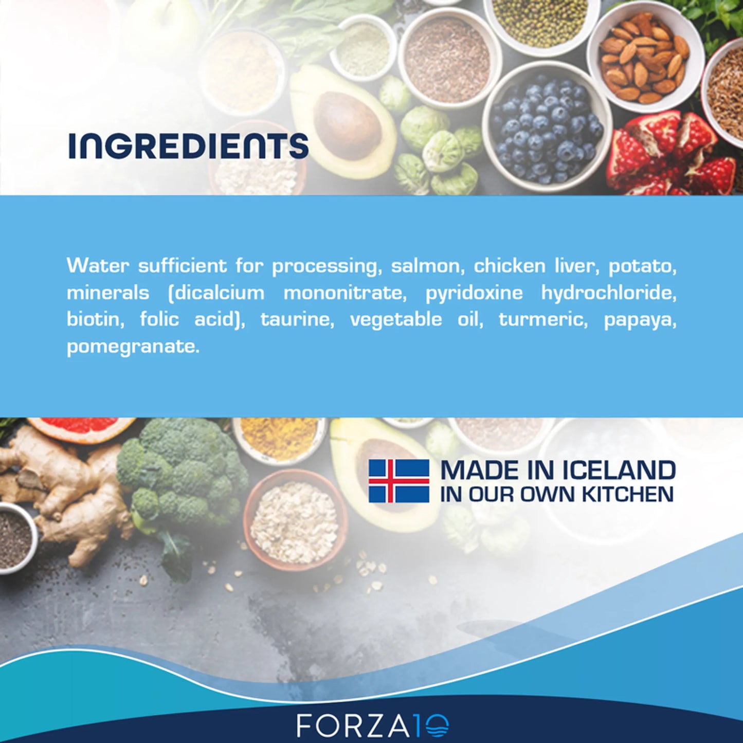 Forza10 ActiWet Dermo Support Icelandic Fish Recipe Canned Cat Food