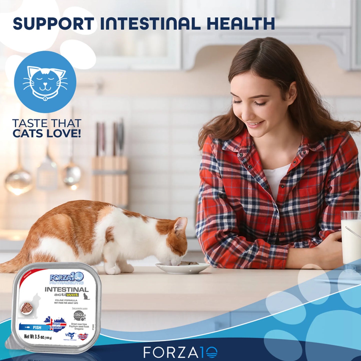 Forza10 Actiwet Intestinal Support Icelandic Fish Recipe Canned Cat Food