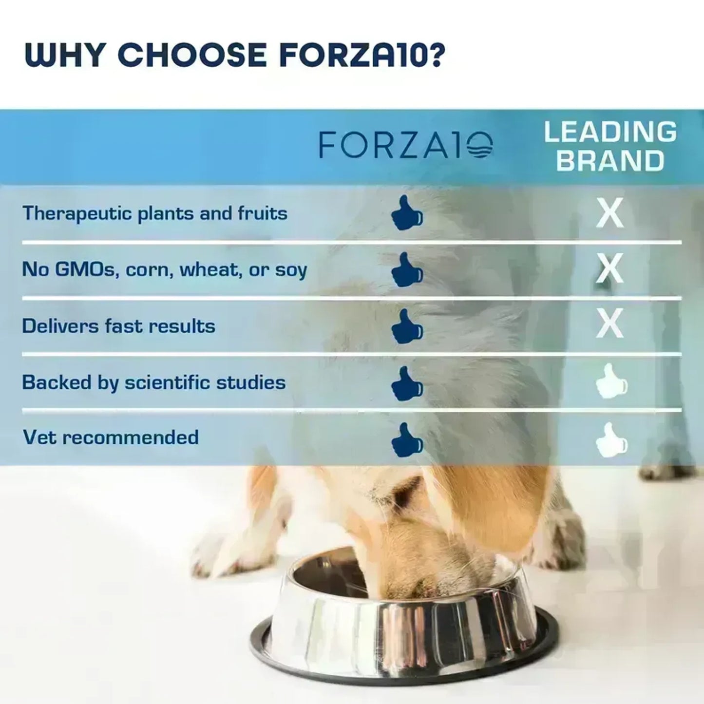 Forza10 Legend Digestion Grain-Free Dry Dog Food