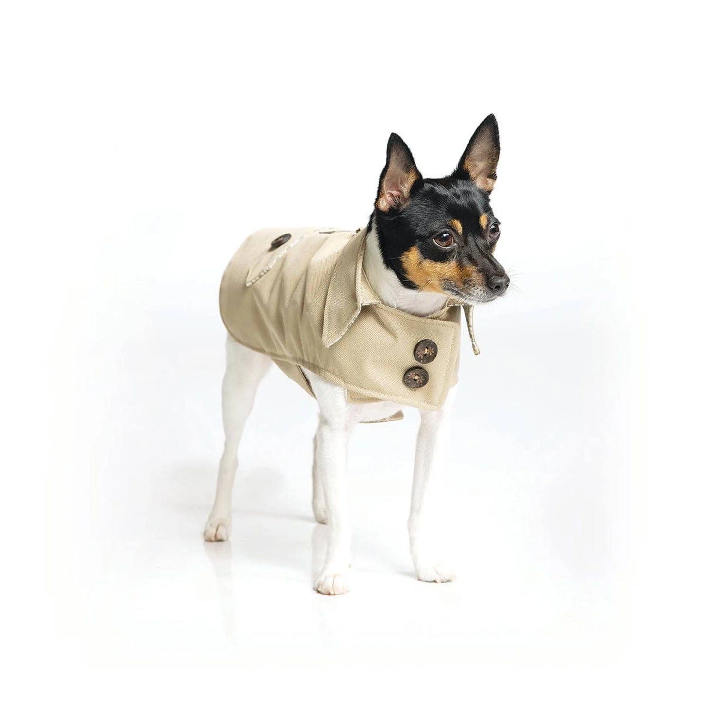 DoggieCoutureNY Classic Trench Coat