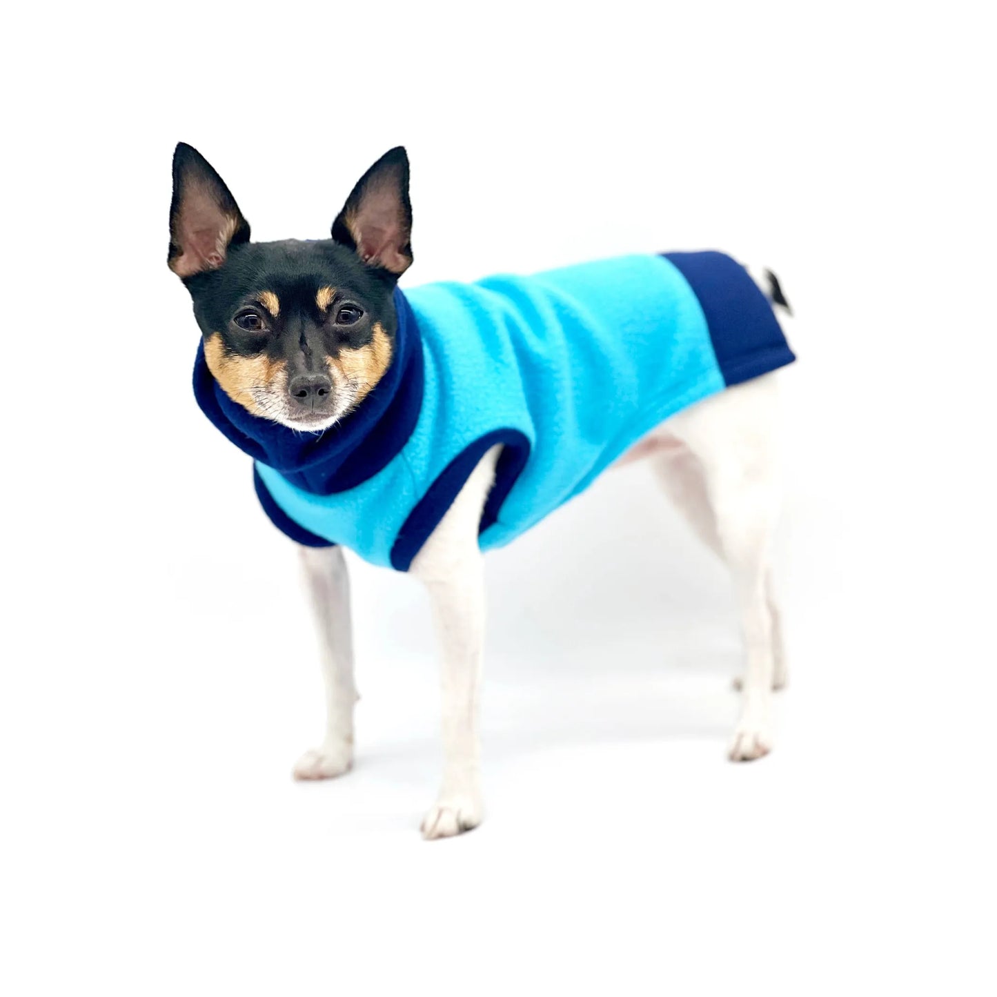 DCNY Two Tone Blue Longneck Sweater