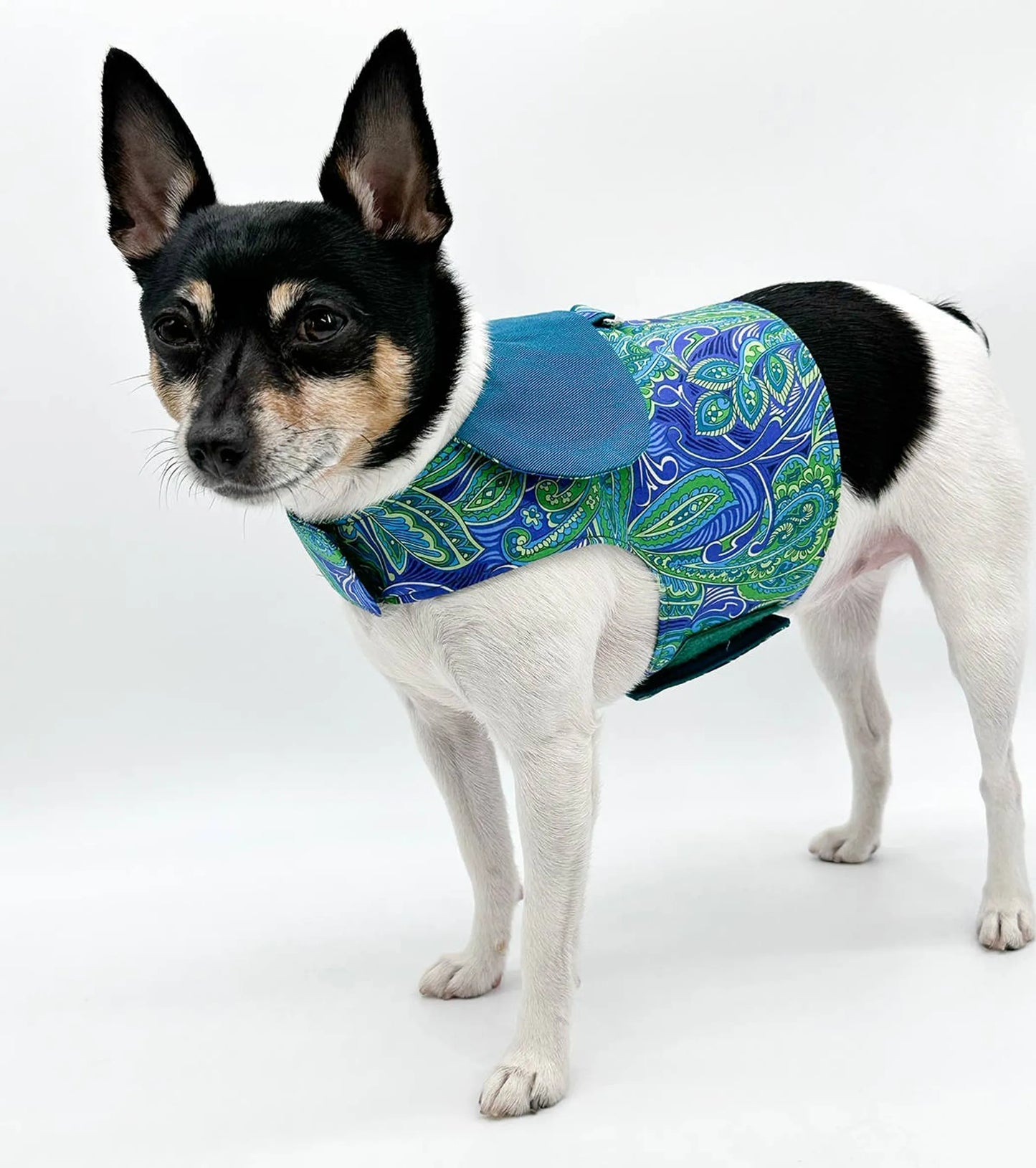 DCNY "Pretty in Paisley" Vest-Style Harness