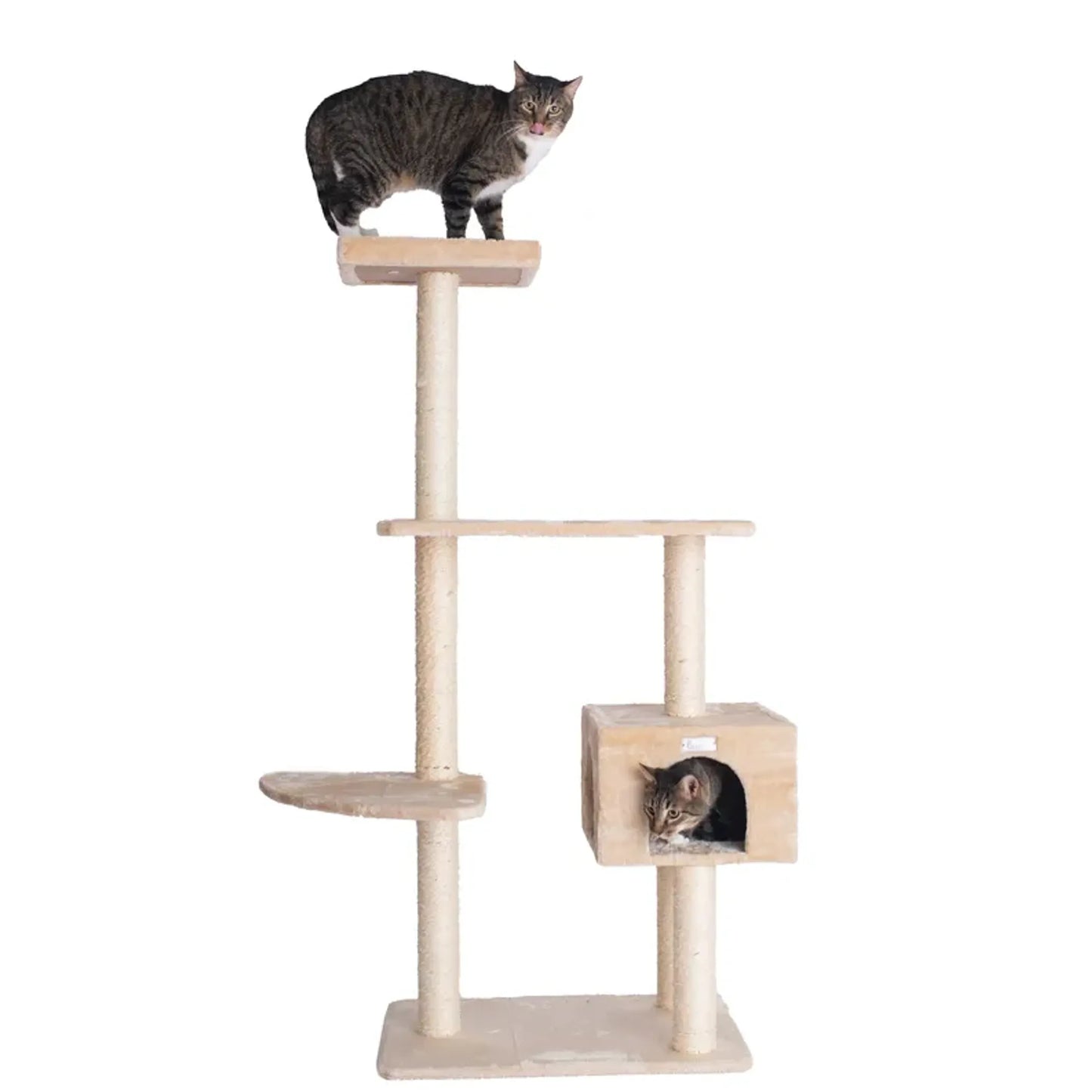 GleePet 57-Inch Cat Tree  Real Wood Cat Perches Bge