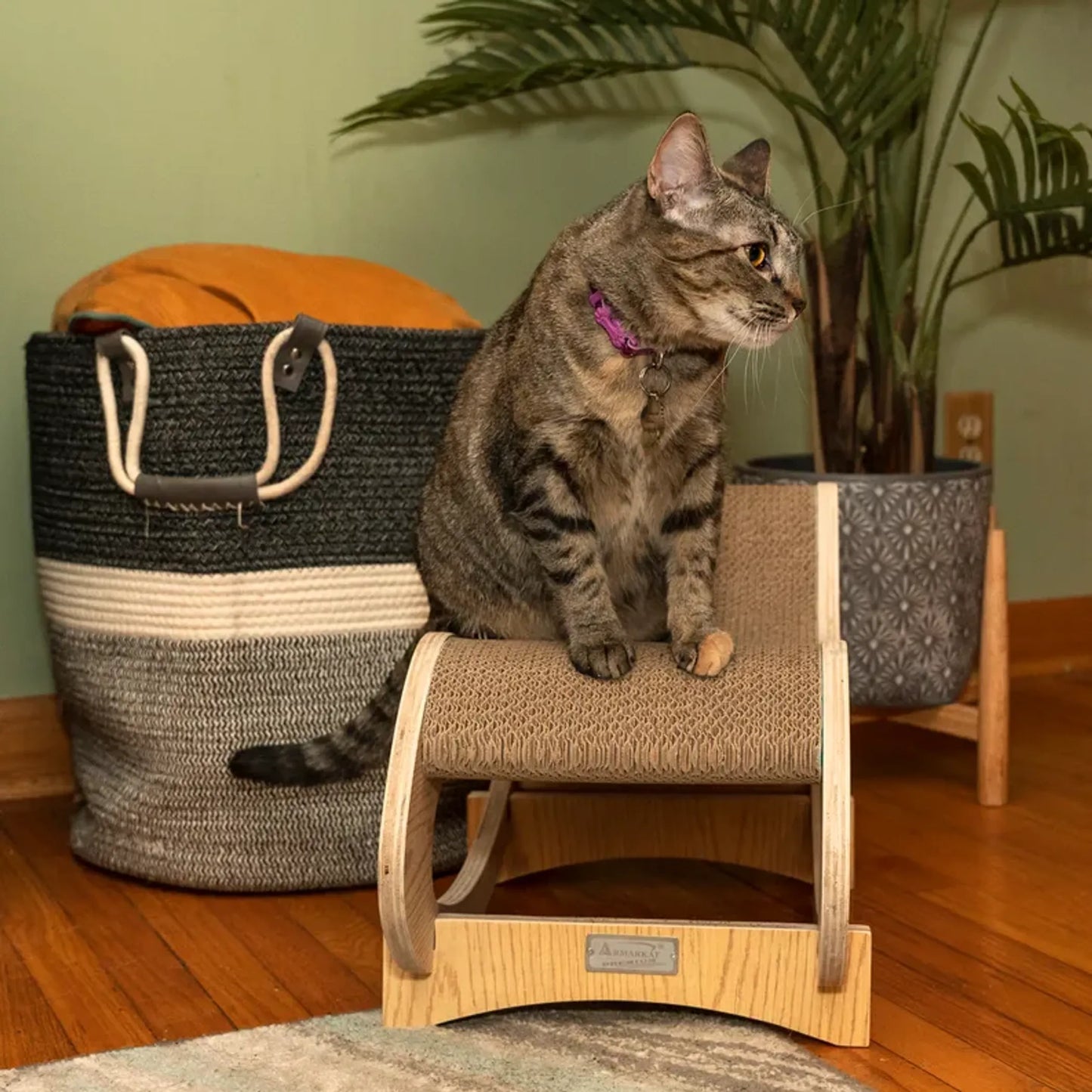 Medium Cat Rocking Chair, Detachable Cat Swing Chair S1302