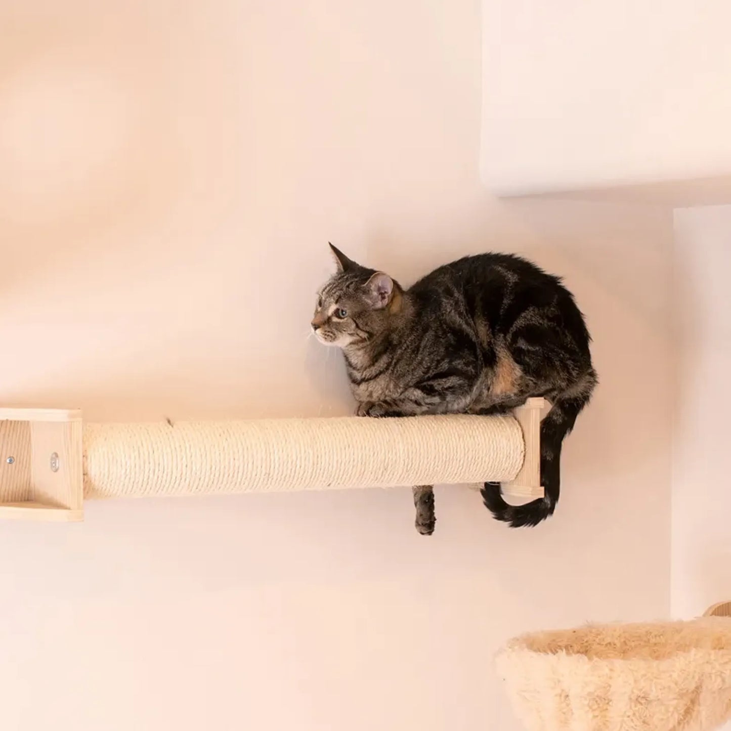 Armarkat Wall Series: Scratching Post W1907D