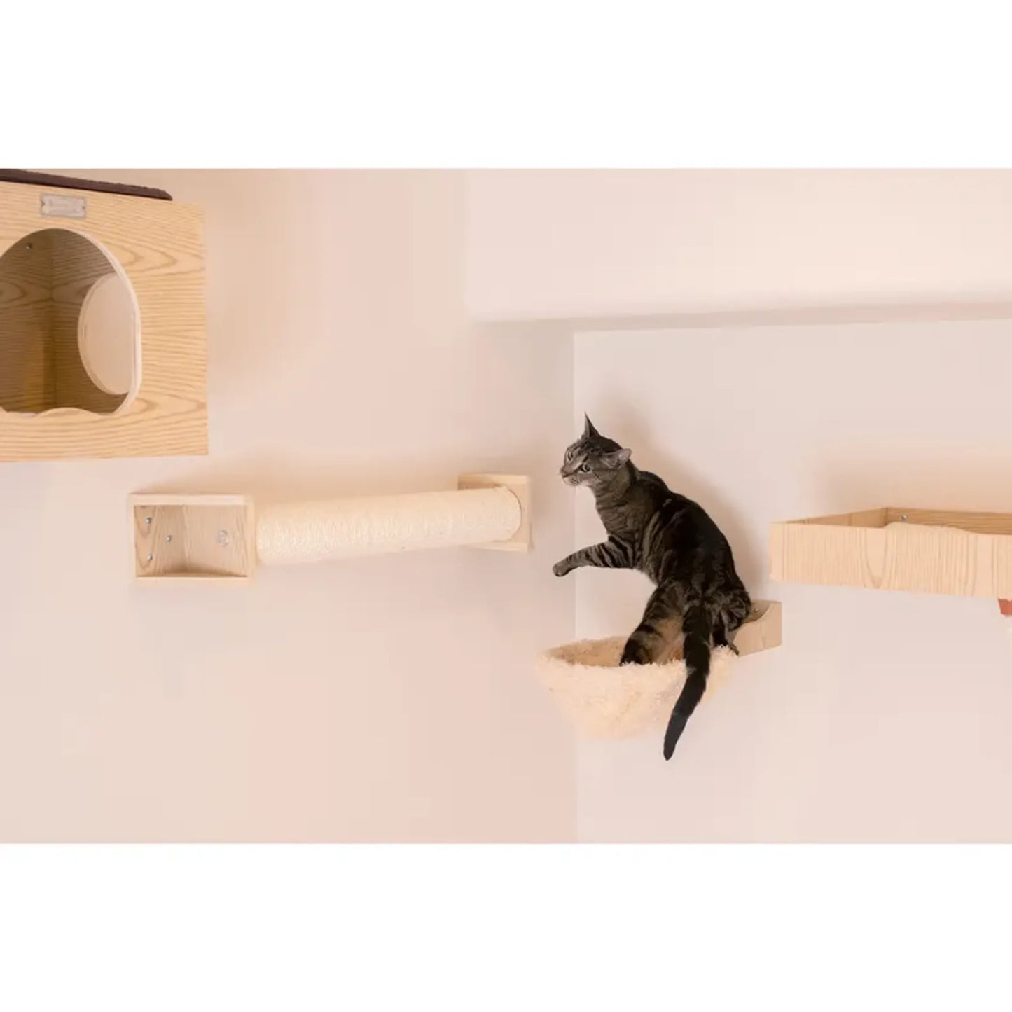 Armarkat Wall Series: Scratching Post W1907D