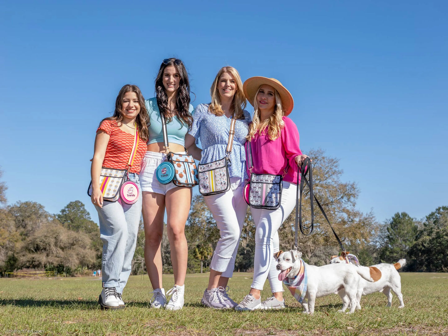 Space Dog - Dog Walking Bag