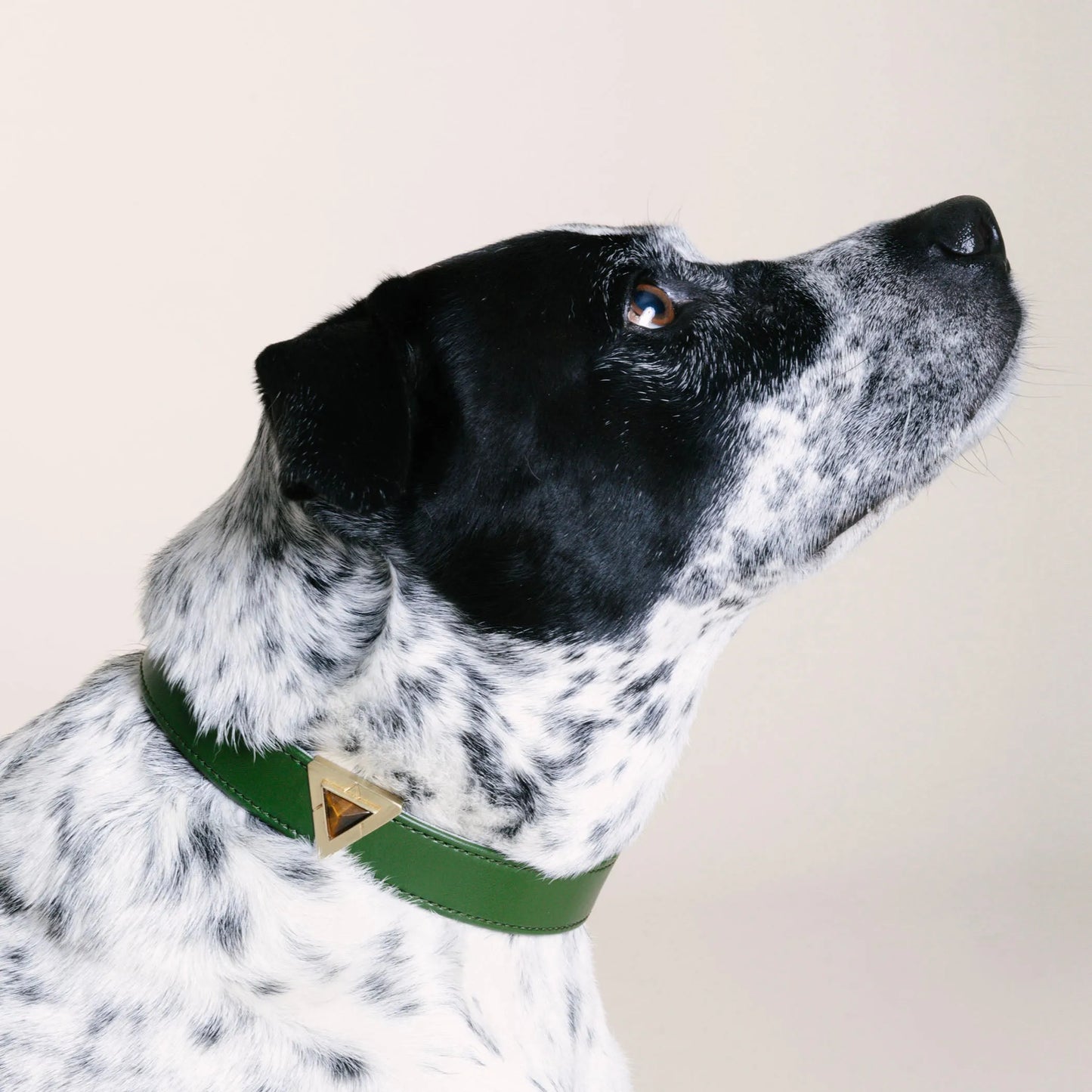 Olive Cactus Collar