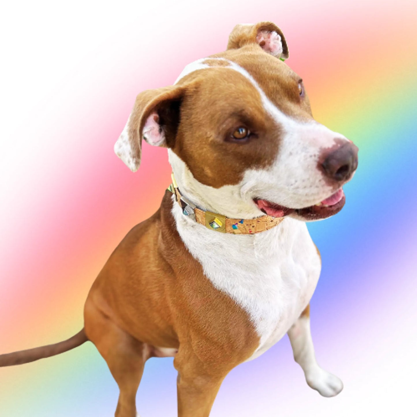 Dusk Rainbow Diamond Collar Charm