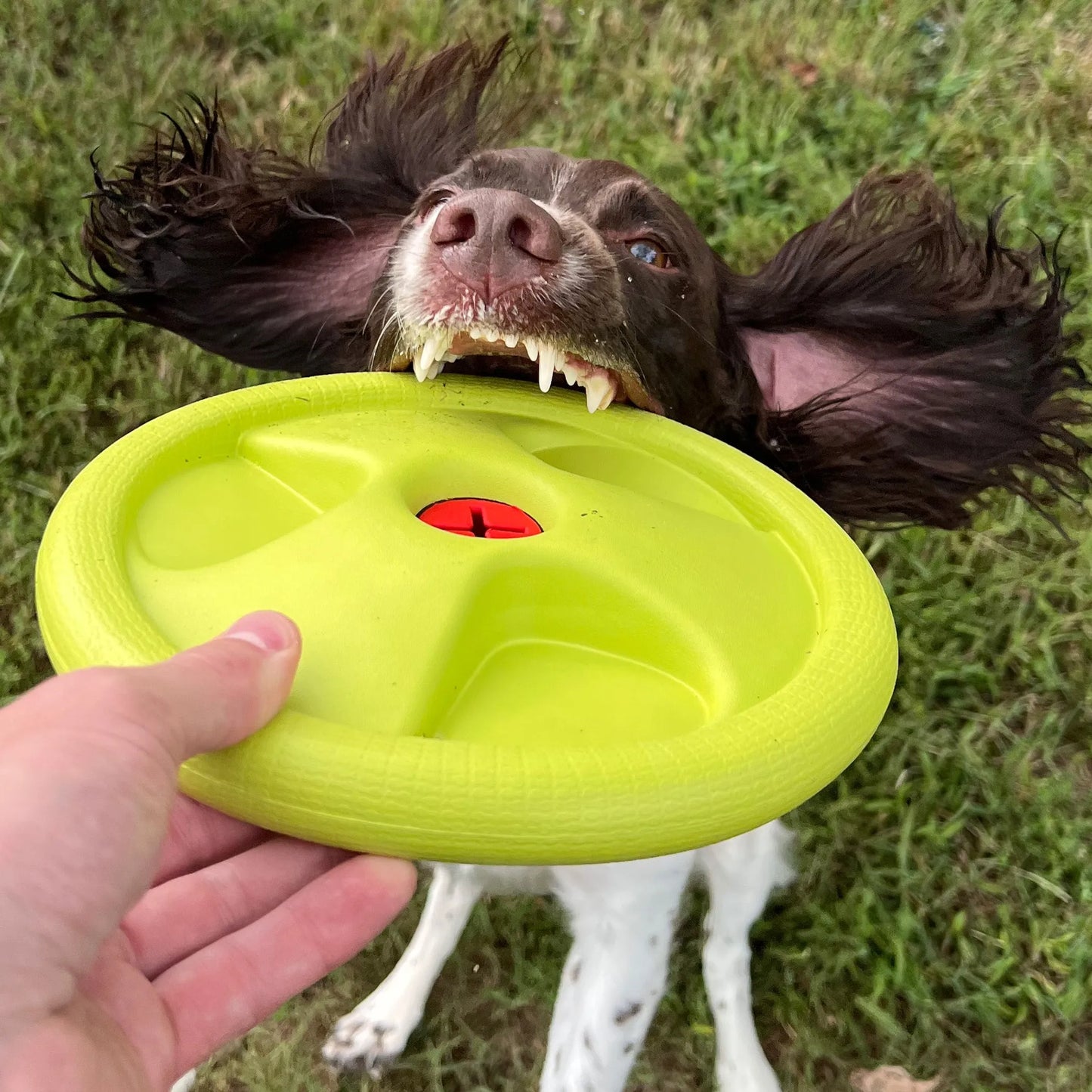 Harley Flyer Frisbee