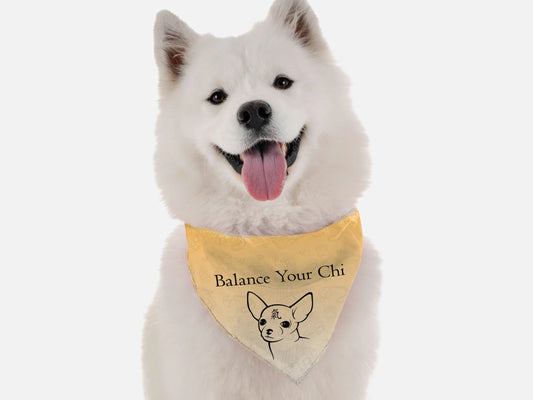 Balance Your Chi