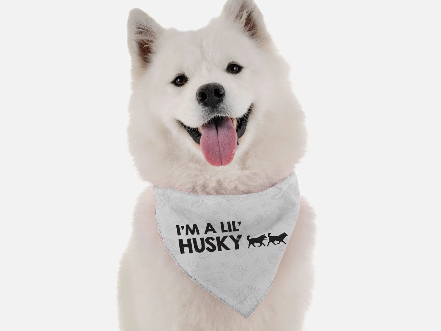 I'm a lil' Husky