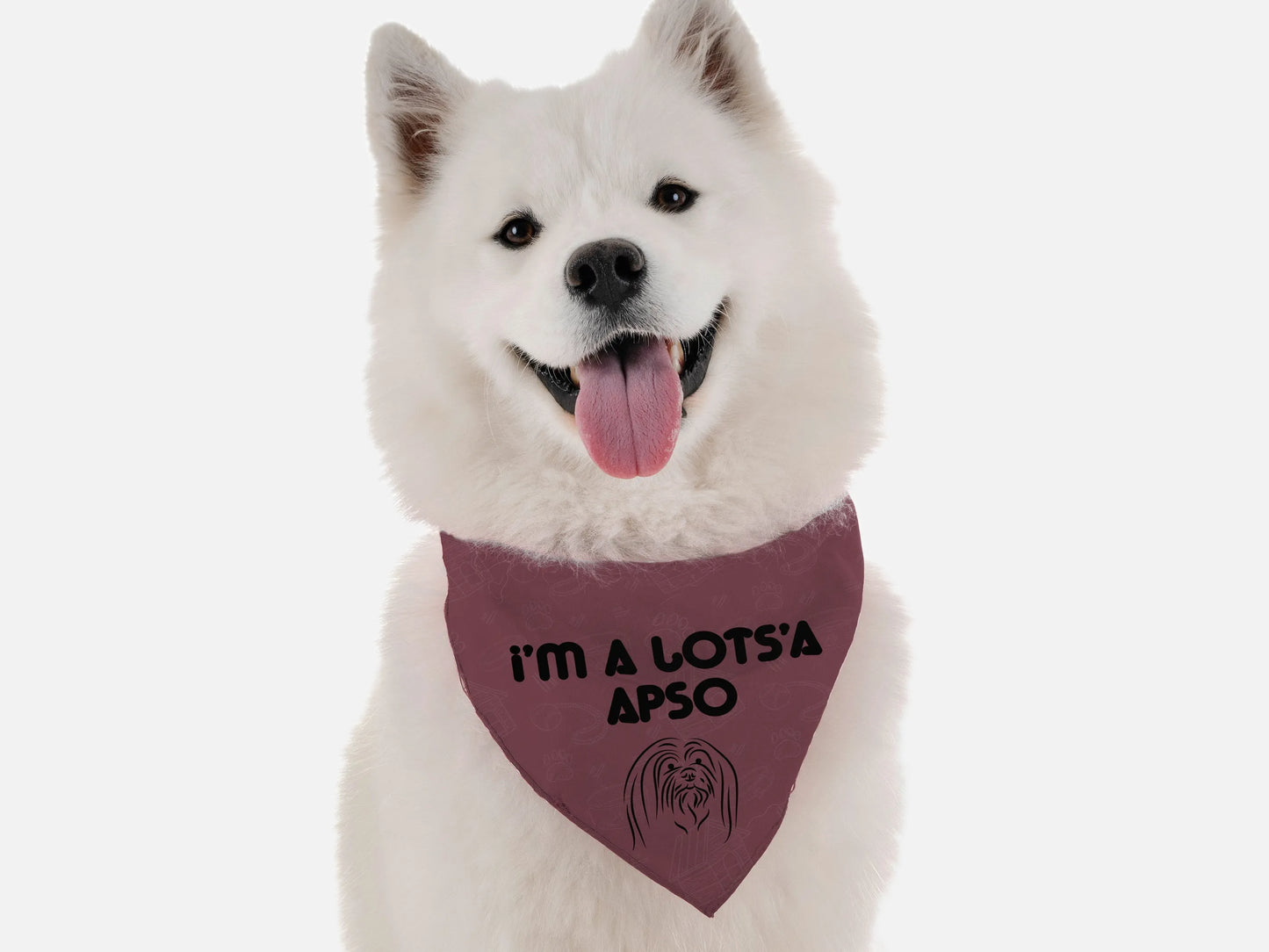 I'm a Lots'a Apso