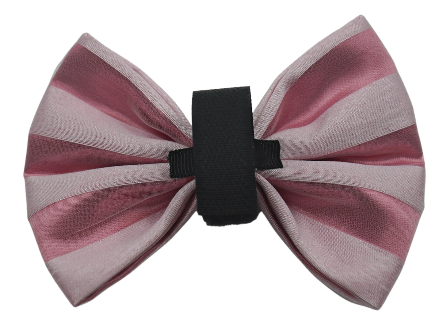 PR3006VA|Pets Ribbons