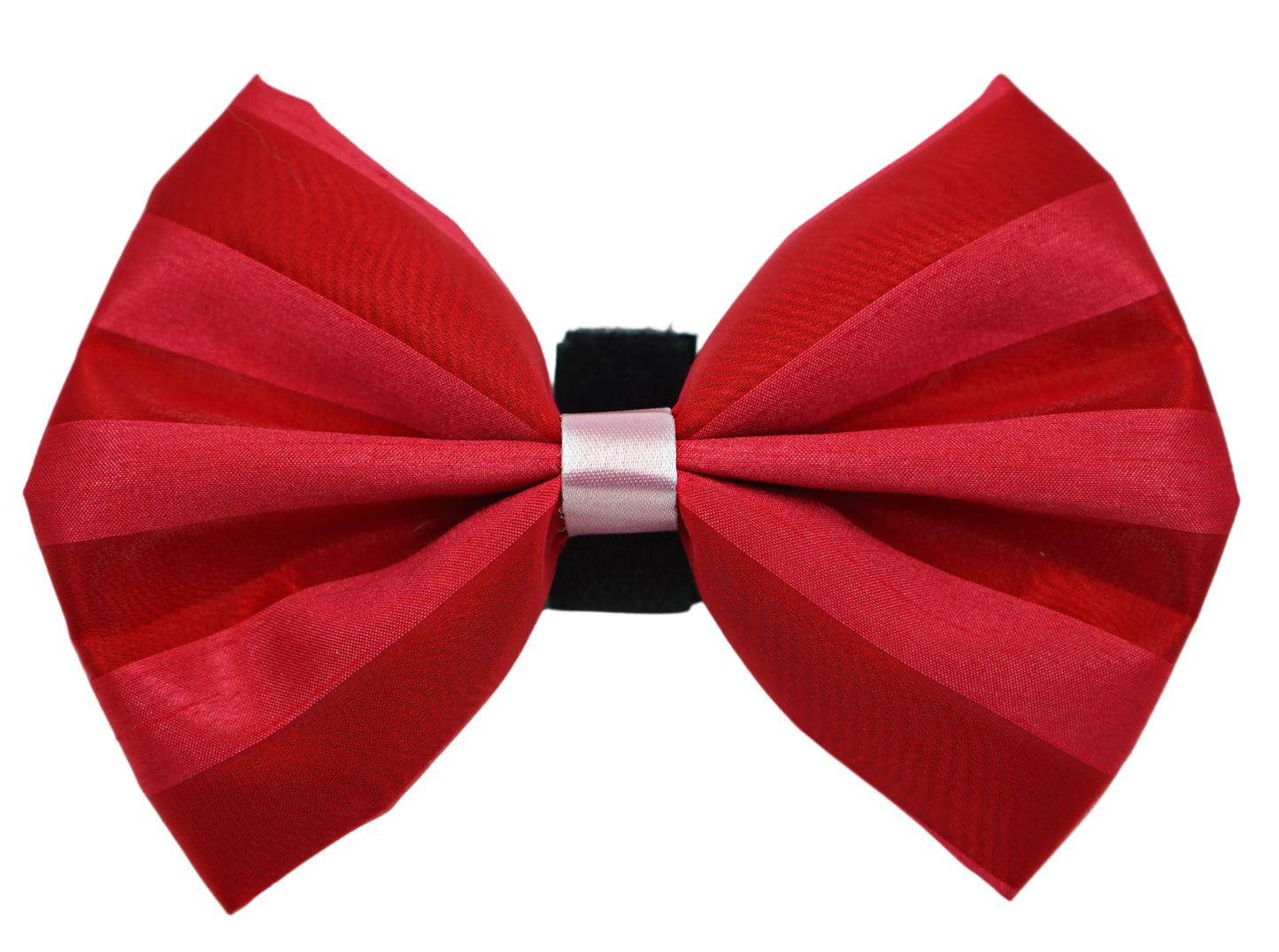 PR3006VA|Pets Ribbons