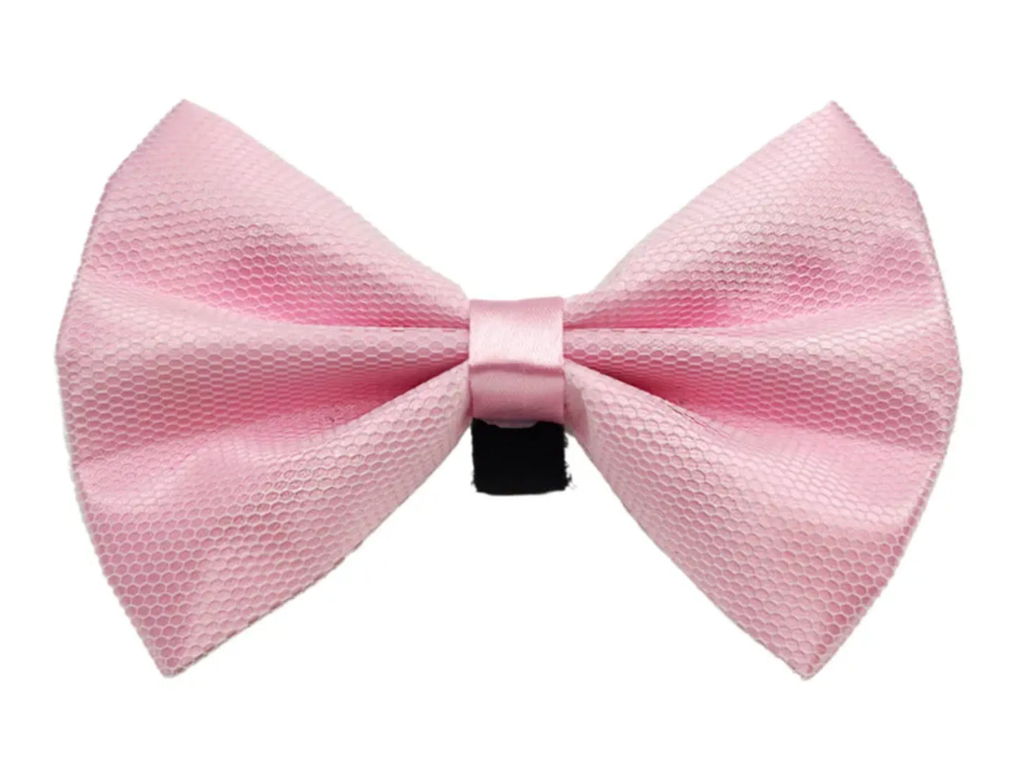 PR3004|Pets Ribbons