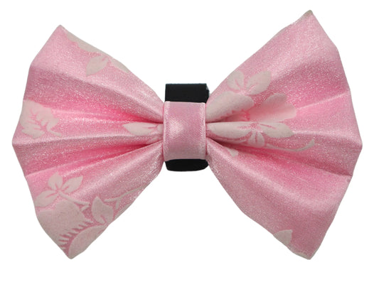 PR3010|Pets Ribbons