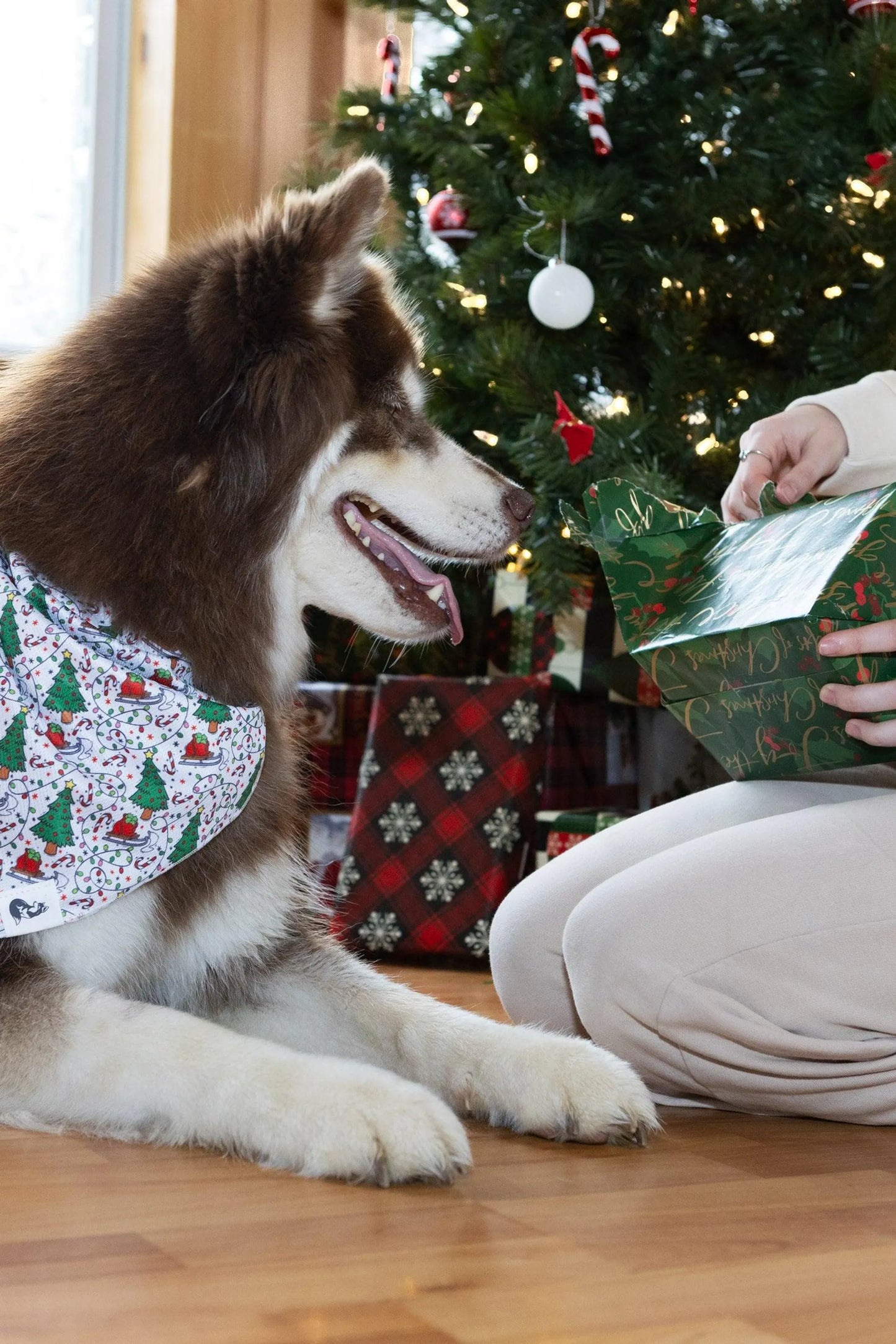 Howliday Cheer Dog Bandana