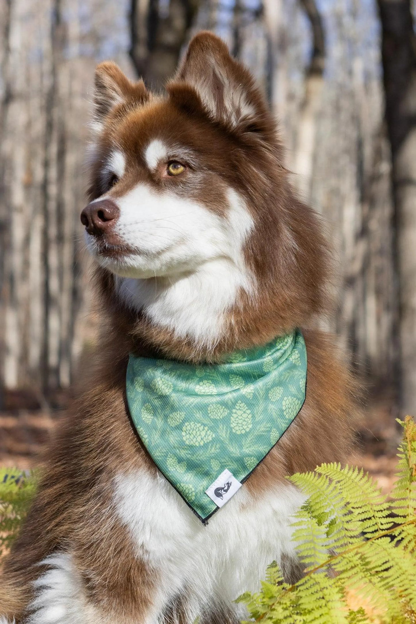 Pine Cone Pup Bandana