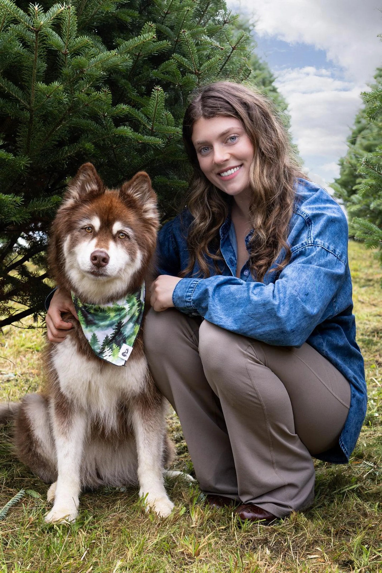 Evergreen Explorer Dog Bandana