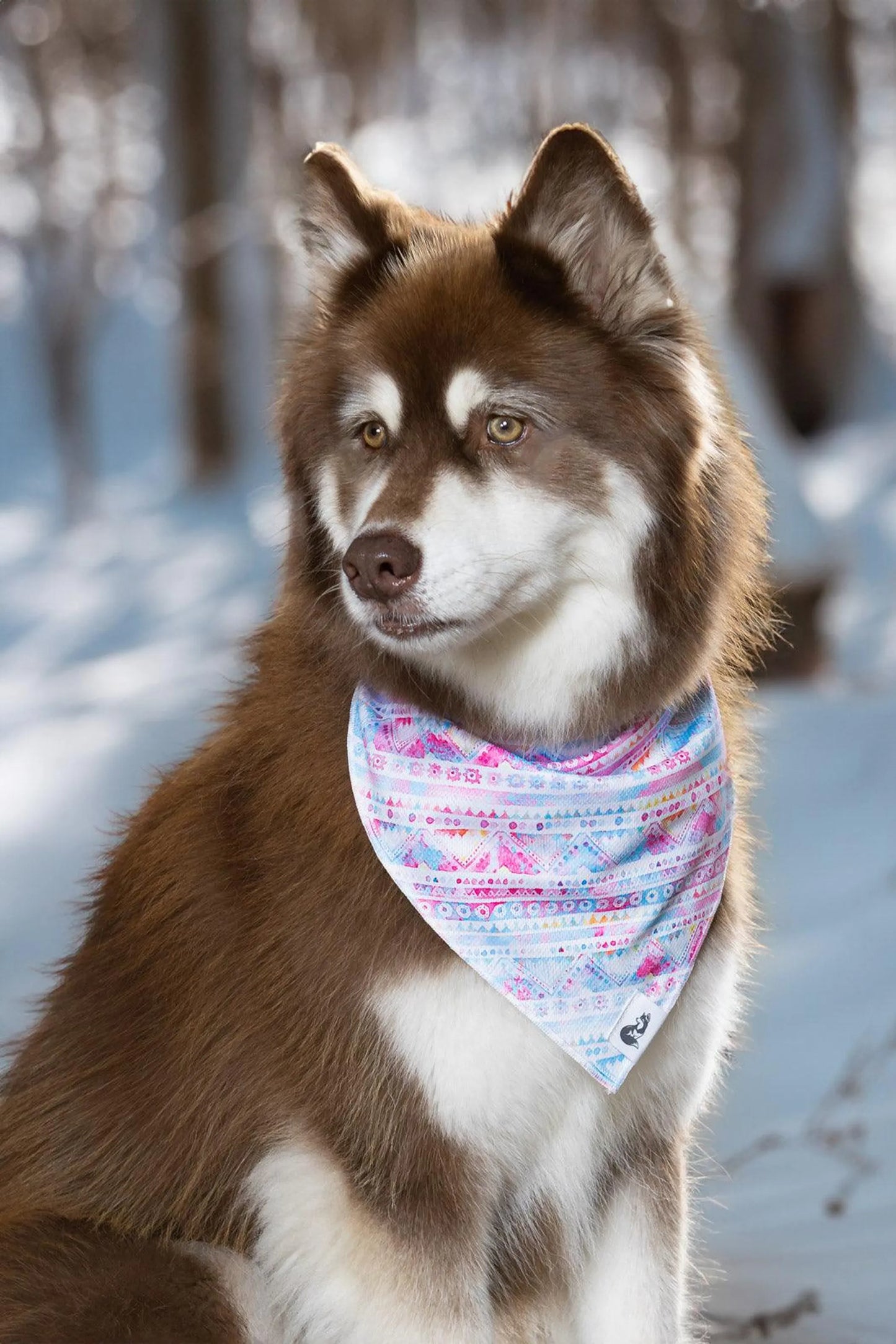 Pink and Blue Tribal Dog Bandana