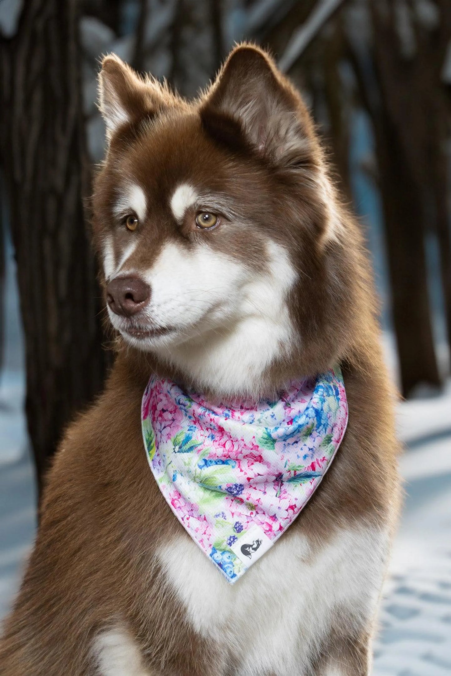 Hydrangea Haven Dog Bandana